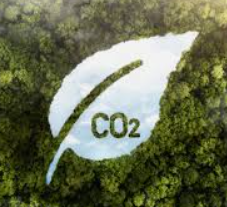 GHG Lead Verifier Course